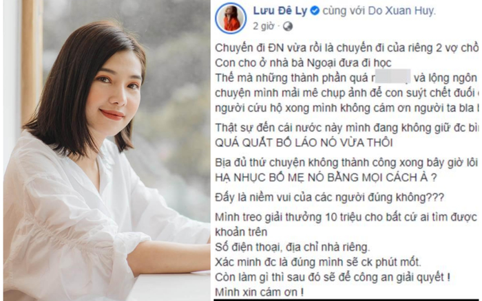 Lưu Đê Ly treo thưởng 10 triệu cho ai tìm ra tài khoản tung tin giả, tố cô vô trách nhiệm làm con suýt chết đuối Ảnh 2