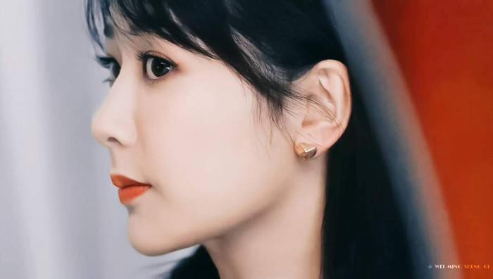 Dương Dương - Dương Tử chỉ sóng đôi mặc trang phục hàng hiệu thôi mà fans đòi đóng chung phim rồi Ảnh 18