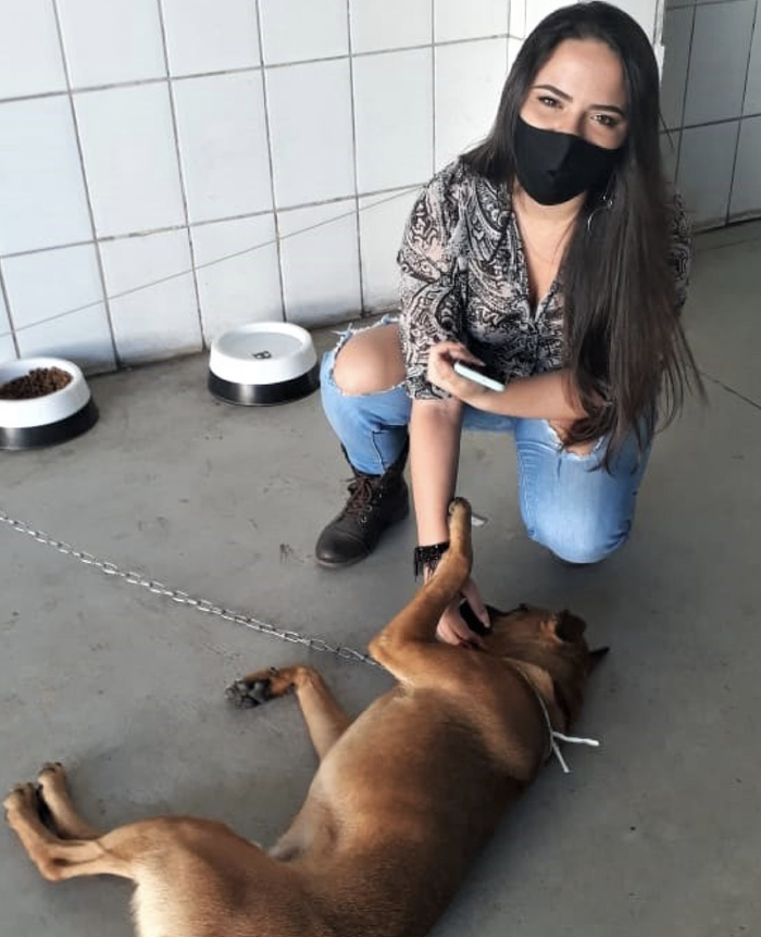 Cuộc đời chú chó đã thay đổi hoàn toàn sau khi đi lạc vào đại lý ô tô. (Ảnh: Hyundaibr)