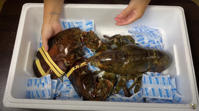 Cận cảnh 'đập hộp' tôm hùm Alaska