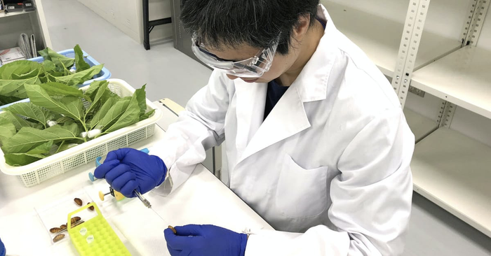 Vắc-xin mà nhóm của giáo sư Kusakabe đang phát triển dựa trên các protein hình gai bên ngoài vỏ virus SARS-CoV-2. (Ảnh: Nikkei)