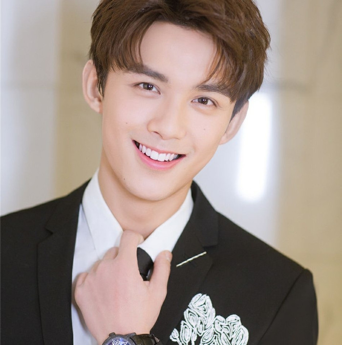 Ngô Lỗi ra mắt là diễn viên nhí nổi tiếng,rất nhiều cư dân mạng có thiện cảm với cậu