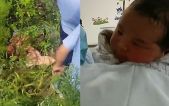 Bé sơ sinh sống sót kỳ diệu 17 tiếng sau khi bị mẹ ném xuống bụi rậm Ảnh 2