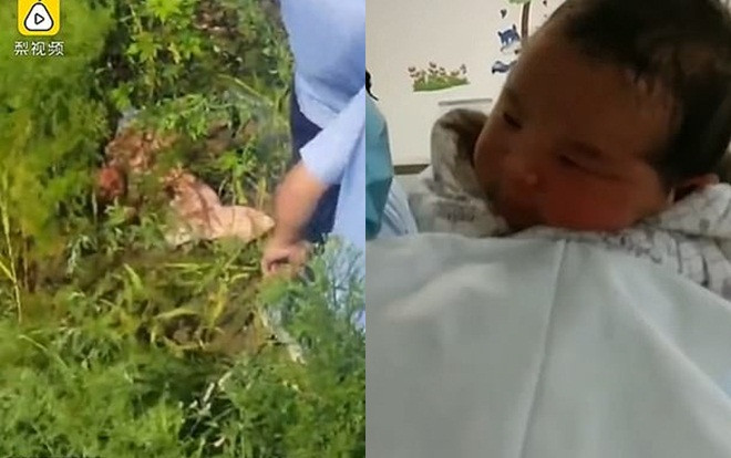 Đứa trẻ đáng thương bị mẹ vứt bỏ dưới bụi rậm dưới chân cầu.