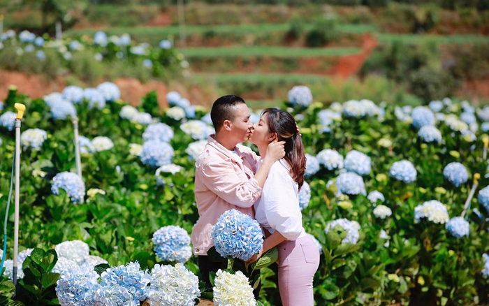 Quá mệt mỏi vì cứ bị đồn có bầu, MC Hoàng Linh 'chơi lớn' công bố: Muốn sinh con gái cho chồng Ảnh 2