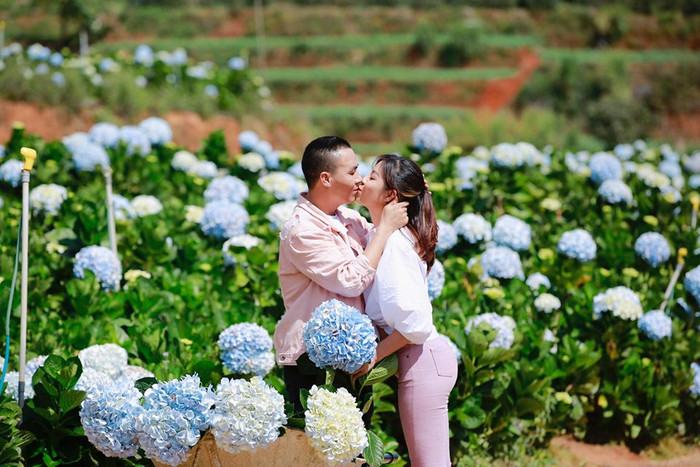 Quá mệt mỏi vì cứ bị đồn có bầu, MC Hoàng Linh 'chơi lớn' công bố: Muốn sinh con gái cho chồng Ảnh 6