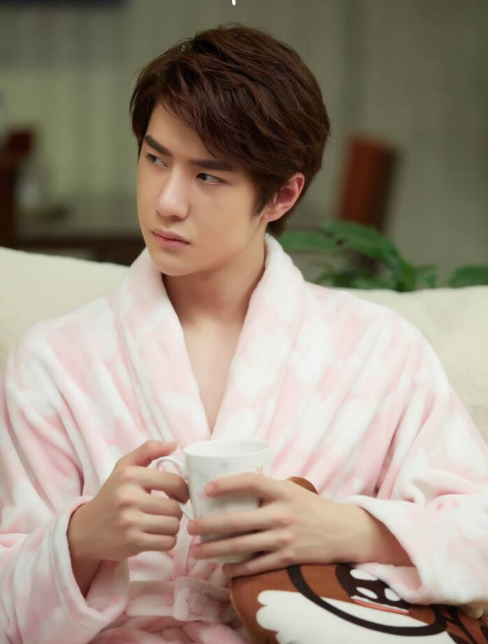 Fan Vương Nhất Bác bị chê cười khi kêu gọi thương hiệu không liên quan phải chúc mừng sinh nhật thần tượng Ảnh 4