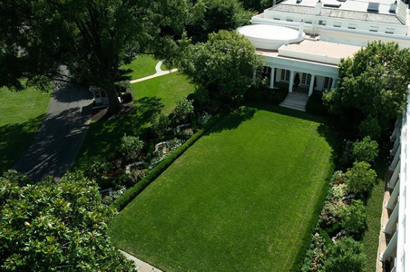 Mới đây, Đệ nhất phu nhân Mỹ lại tiếp tục khiến công chúng ngạc nhiên khi công bố kế hoạch tu bổ Vườn hồng 'huyền thoại' của Nhà Trắng. 