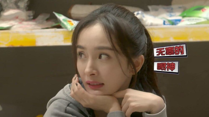 Cả Dương Mịch lẫn Triệu Lệ Dĩnh đều không hợp tham gia show thực tế Ảnh 9