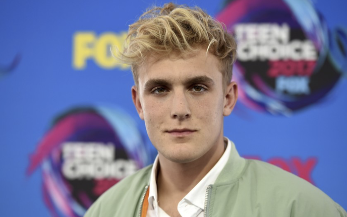 YouTuber Mỹ thu nhập hơn 500 tỷ bị cảnh sát điều tra vì lý do bất ngờ Ảnh 2