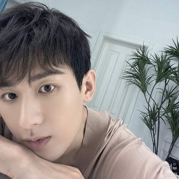 Mỹ nam 'Lưu ly mỹ nhân sát' Thành Nghị dính liên hoàn phốt: Phẫu thuật thẩm mỹ, gian lận bằng cấp, tuổi cũng sửa lại Ảnh 14