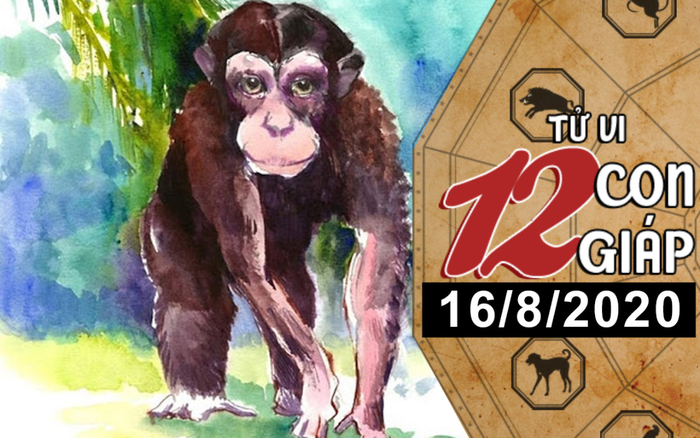 Tử vi chủ nhật ngày 16/8/2020 của 12 con giáp: Dần vướng họa phá tài, Thân công việc lên như diều gặp gió Ảnh 2