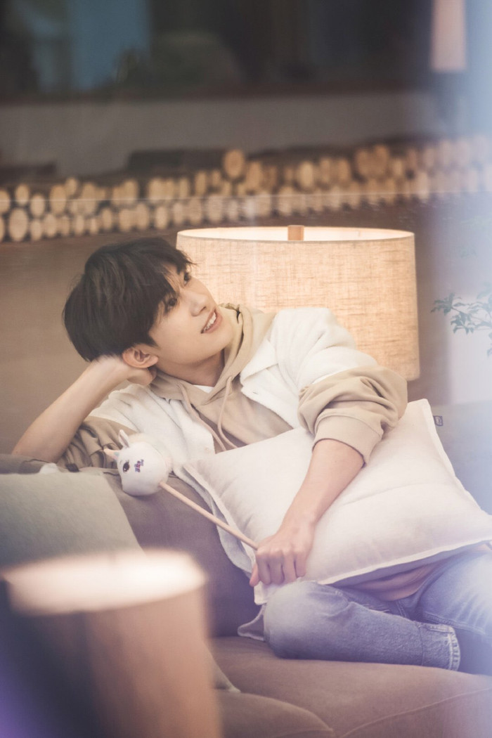 Poster 'Biển sương hồng' của Dịch Dương Thiên Tỉ là sản phẩm sao chép từ ảnh bìa của một tiểu thuyết? Ảnh 8