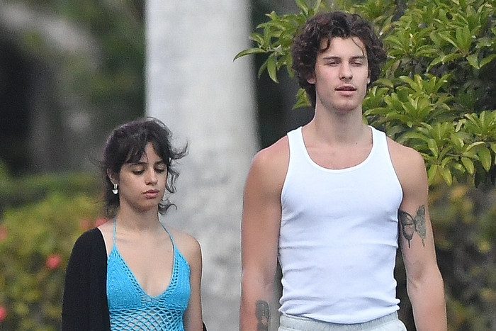 Một tuần với những chuyện tình đổ vỡ: Viruss và Ngân S.T dừng lại, Miley Cyrus tạm biệt tình trẻ Cody, cả bộ đôi Senorita cũng đã đến hồi kết Ảnh 3