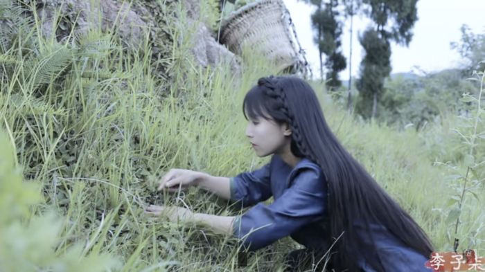 Hình ảnh thường thấy trong các video của vlogger ẩm thực nổi tiếng Trung Quốc Lý Tử Thất. (Ảnh: 李子柒)