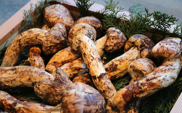 Nhìn đơn giản nhưng hết hồn với cái giá 'trên trời' một bữa ăn của Phạm Băng Băng Ảnh 6