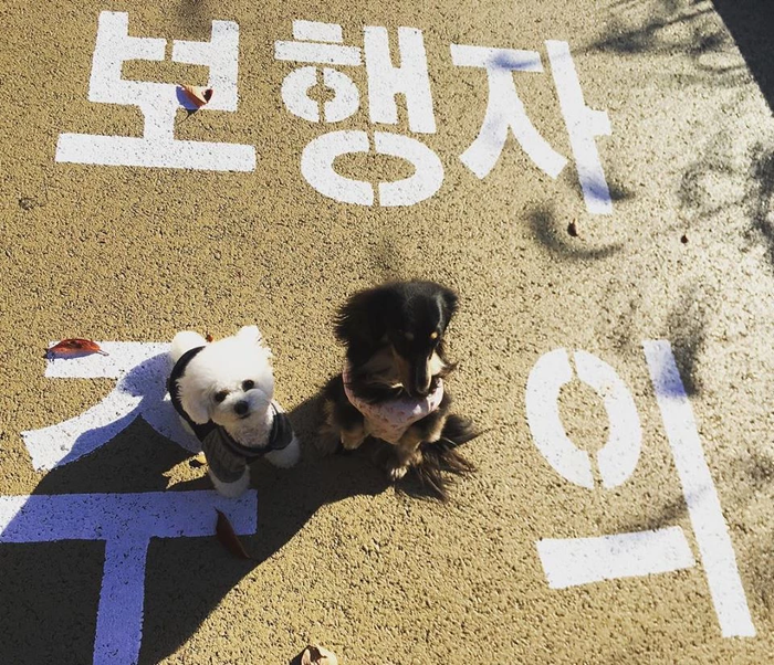 Bằng chứng cho thấy Sooyoung (SNSD) và Jung Kyung Ho vẫn yêu nhau sâu đậm Ảnh 3