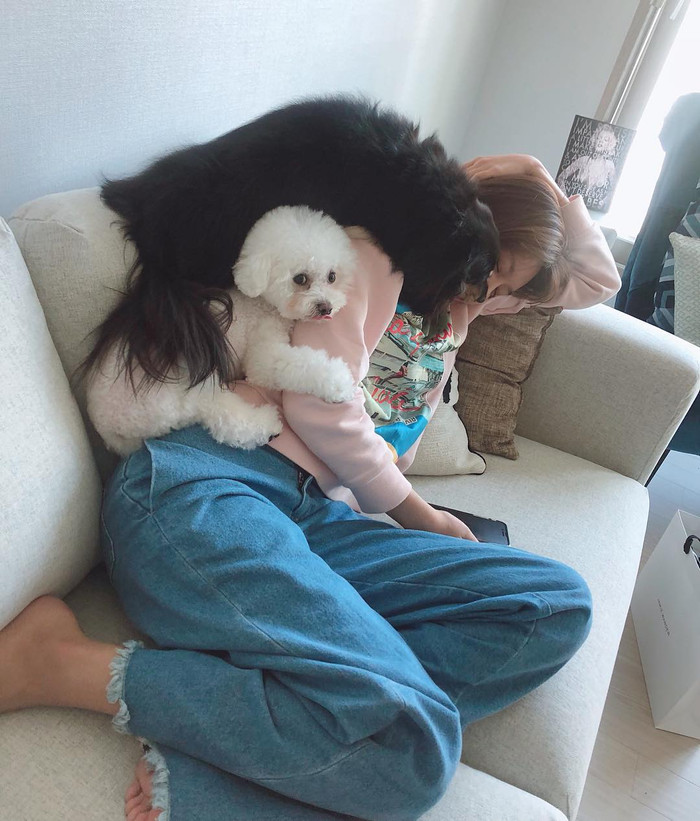 Bằng chứng cho thấy Sooyoung (SNSD) và Jung Kyung Ho vẫn yêu nhau sâu đậm Ảnh 5