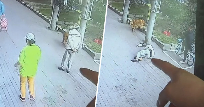 Sự cố xảy ra một cách vô cùng bất ngờ khiến ông Fenghua bất tỉnh tại chỗ