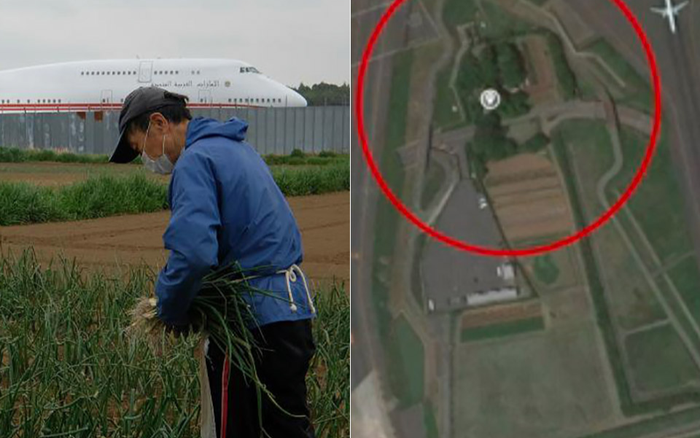 Bác nông dân từ chối 40 tỷ tiền bồi thường để trồng rau giữa sân bay lớn thứ hai Nhật Bản Ảnh 2