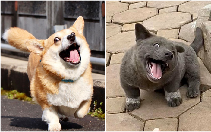 Xuất hiện 'em họ' idol Nguyễn Văn Dúi với biểu cảm 'lầy lội' không hề thua kém Ảnh 2