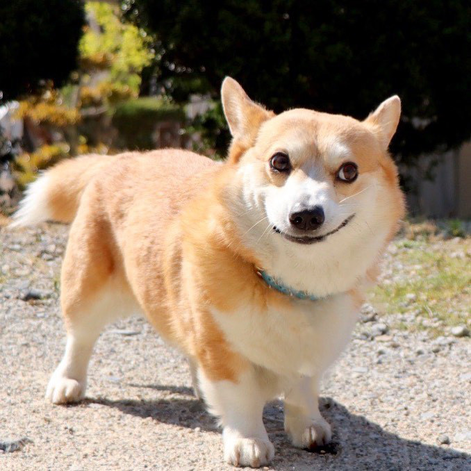 Gương mặt đậm chất 'cà khịa' là đây