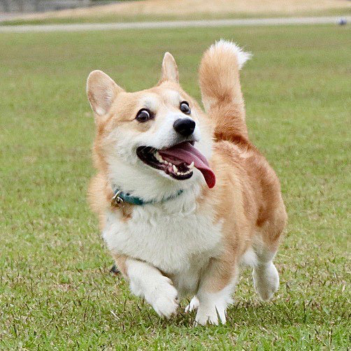 Với Gen không gì vui thú bằng được ra ngoài dạo chơi