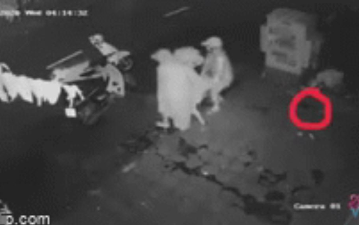 Clip: 2 người phụ nữ trộm chậu cây bên đường và pha xử lý cồng kềnh khiến chủ nhà 'vừa giận vừa thương' Ảnh 2