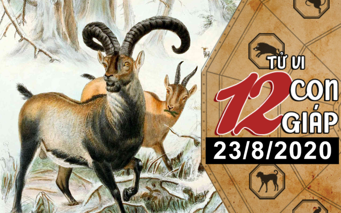 Tử vi chủ nhật ngày 23/8/2020 của 12 con giáp: Mùi sớm hái được 'quả ngọt', Thân nên 'thắt lưng buộc bụng' Ảnh 2