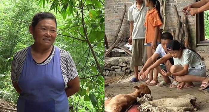 Nhiều người hiếu kỳ đã tới tận nhà bà Zhang (ảnh trái) để xem con bê hai đầu.