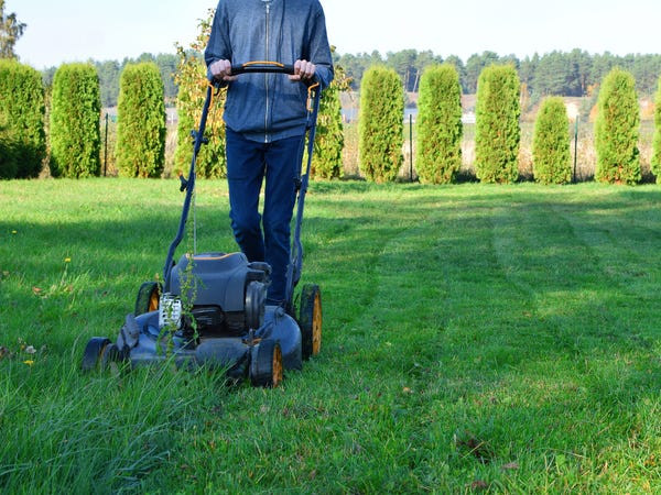 Sweeney bán được “vài ngàn” bản ZZT trong khi vẫn sống với bố mẹ. Ông đổi tên công ty thành Epic MegaGames, một cái tên mà Sweeney nói rằng nó khiến “công ty của ông như thể một công ty lớn.” Với những đơn đặt hàng mới được chuyển đến mỗi ngày, Sweeney chuyển ra ở riêng vào năm 1999 và cũng bỏ nghề phụ là cắt cỏ. Epic cuối cùng đã bỏ chữ “Mega” trong tên của mình. (Ảnh: Getty)