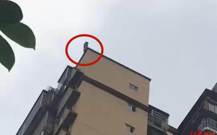 Khoảnh khắc con gái nhảy từ tầng 25, bố cố gắng bắt con ở tầng dưới cũng tử vong Ảnh 2