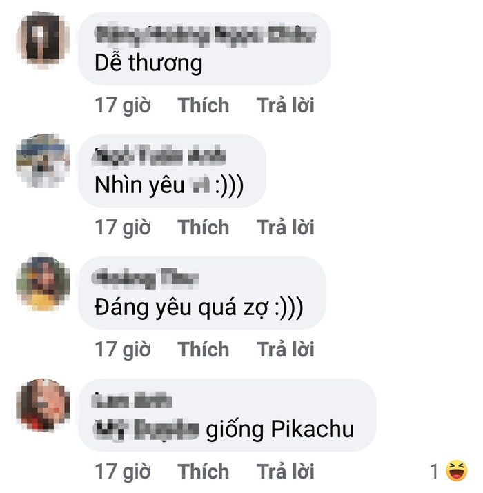 Tìm thấy 'em họ' của Pikachu ngoài đời thật, dân mạng xuýt xoa vì chú mèo quá đáng yêu Ảnh 9