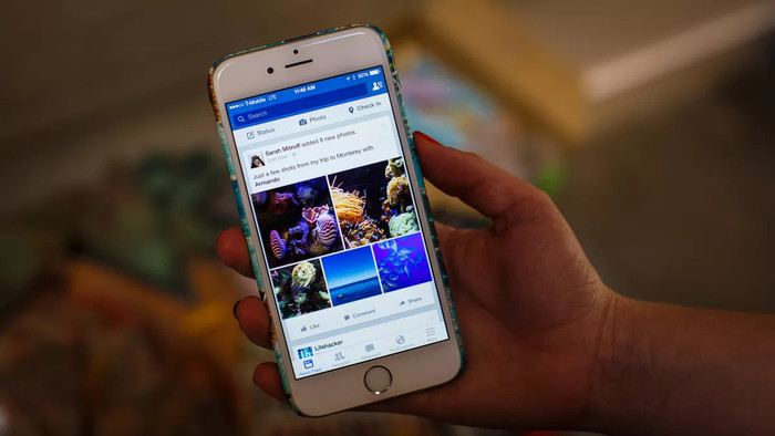 Người dùng Facebook nên chủ động tìm hiểu thêm về bộ quy tắc pháp lý và tiêu chuẩn cộng đồng của mạng xã hội này để tránh những rắc rối không mong muốn. (Ảnh: Cnet)