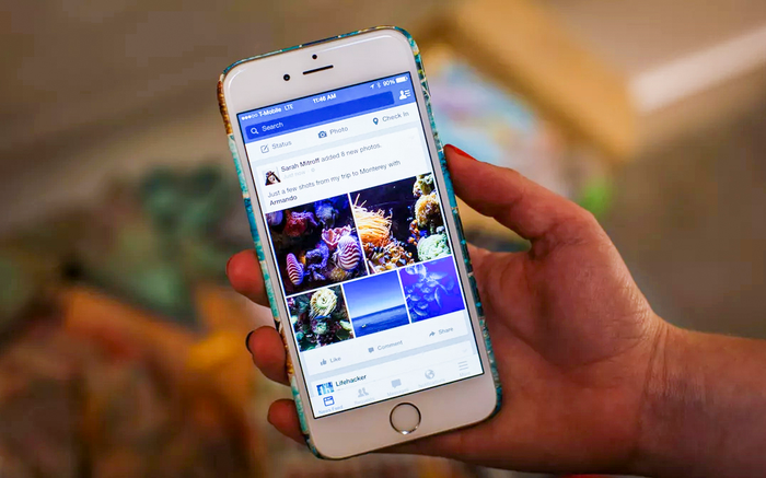 Hàng loạt người dùng Facebook tại Việt Nam bị khóa tài khoản không rõ lý do Ảnh 2