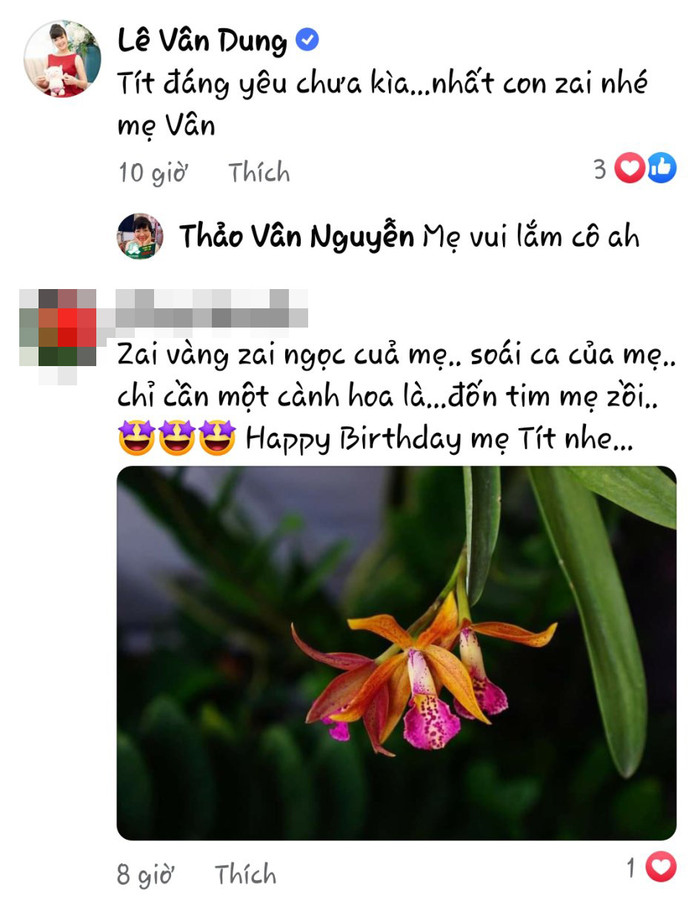 Danh hài Vân Dung bày tỏ sự ngưỡng mộ với MC Thảo Vân