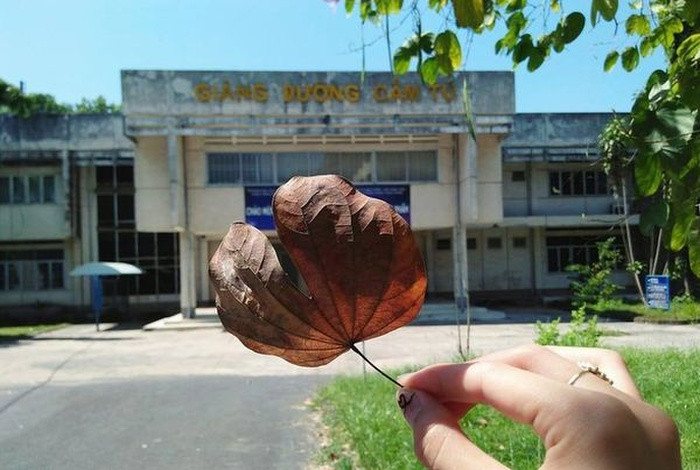 Giảng đường mang tên loài hoa Cẩm Tú chỉ có 1 tầng lầu, những vết loang ố theo thời gian trên những mảng tường cho thấy “tuổi đời” của khu giảng đường này cũng đã nhiều năm.