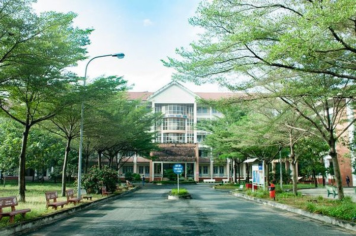 Con đường dẫn vào khu giảng đường Rạng Đông với bóng cây rợp mát cùng những hàng ghế đá ngay ngắn. Những buổi chiều, sau khi tan học, nơi đây là một địa điểm lý tưởng để các bạn sinh viên gặp gỡ, trò chuyện.