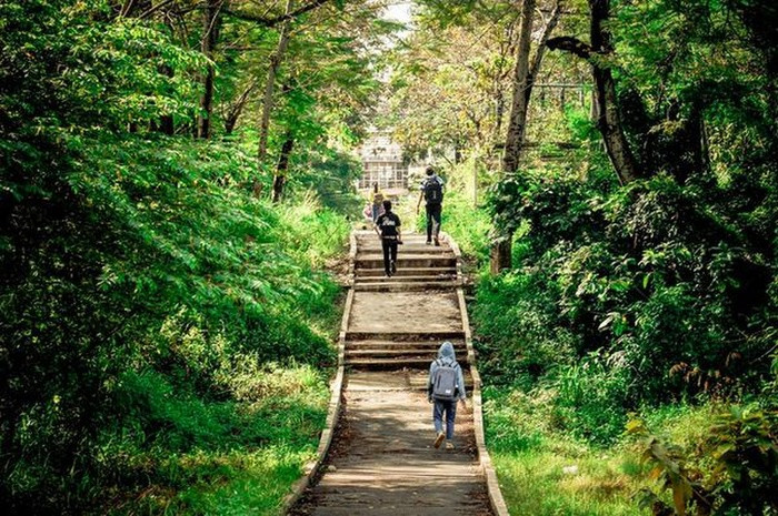 Đây chính là con đường thơ mộng được các bạn sinh viên ví như cảnh đẹp xứ sở Kim Chi nối từ giảng đường Cát Tường qua thẳng giảng đường Phượng Vỹ.