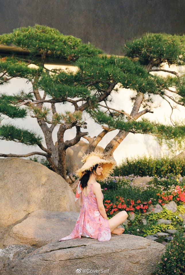 Dương Mịch - Triệu Lệ Dĩnh: Mối quan hệ 'nghiệt duyên' có một không hai của làng giải trí Hoa ngữ Ảnh 5