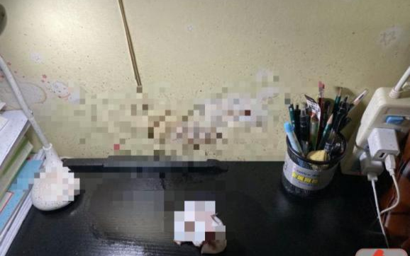 Phát hiện vết đỏ thẫm kỳ lạ trên tường, người phụ nữ kinh hãi khi biết sự thật ở tầng trên Ảnh 2