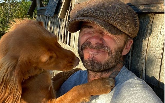 Gia đình Beckham thi nhau đăng ảnh cùng cún cưng nhân kỷ niệm ngày Quốc tế Chó Ảnh 2
