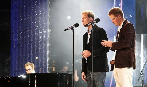 Năm 2007, hai anh em còn bắt tay tổ chức đêm hòa nhạc để kỷ niệm 10 năm ngày mất cố Công nương Diana.