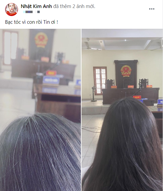 Nhật Kim Anh khiến fan xót xa với mái tóc điểm bạc trong phiên toà xét xử quyền nuôi con  