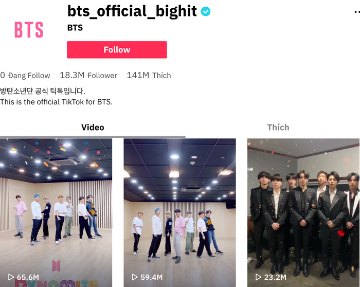 BTS đang sở hữu tài khoản TikTok có hơn 18 triệu lượt theo dõi. (Ảnh chụp màn hình)