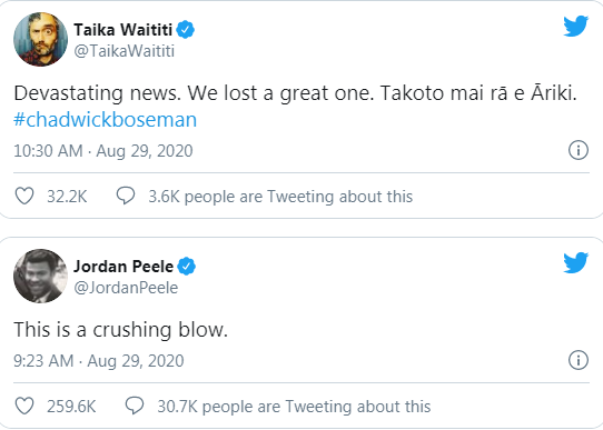 Những người đồng nghiệp nói lời chào cuối với Chadwick Boseman: 'Anh sẽ mãi là một phần của đại gia đình Marvel' Ảnh 6