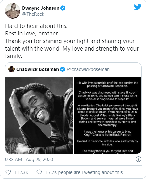 Những người đồng nghiệp nói lời chào cuối với Chadwick Boseman: 'Anh sẽ mãi là một phần của đại gia đình Marvel' Ảnh 8