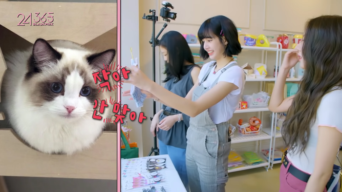 Lisa nghĩ rằng bộ váy sẽ phù hợp với Lily.