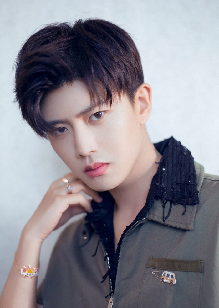 Nhảy đỉnh là thế nhưng Nhậm Gia Luân lại bị nói bắt chước phong cách của Vương Nhất Bác Ảnh 6