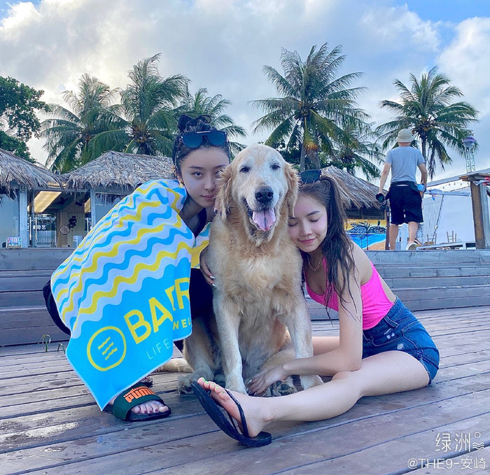 Triệu Tiểu Đường và An Kỳ